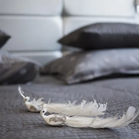 شقة فندقية Softly 4*