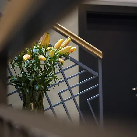 Aparthotel Softly 4*